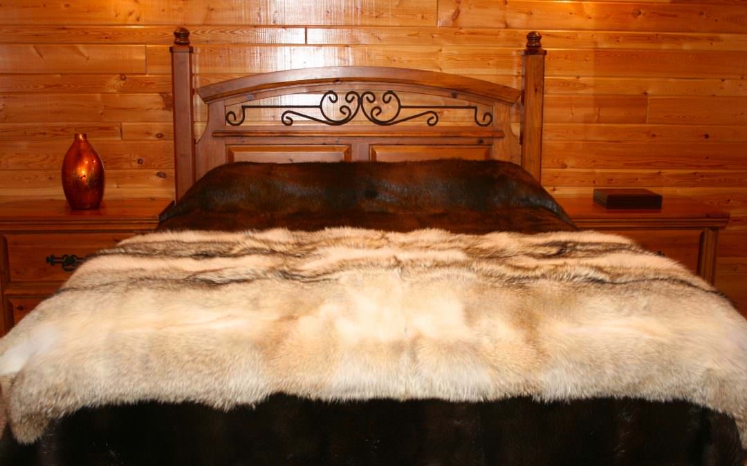 Fur Front Runners